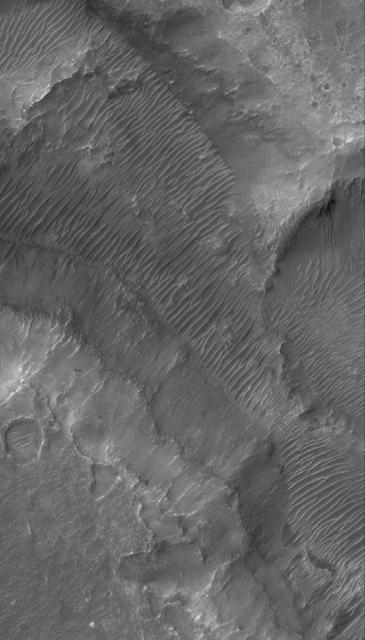 This Mars Global Surveyor MGS Mars Orbiter Camera MOC image shows the floor and walls of a small portion of Nirgal Vallis. The floor is covered by large windblown ripples