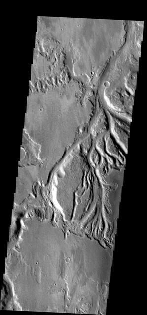 NASA image: Sabis Vallis