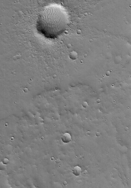 NASA image: Cratered Surface