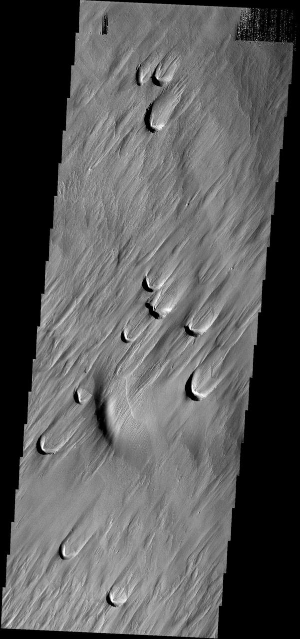 The dark crescents in this image are the backside of wind blowout features. Blowouts are common on Earth in beach regions and in the American MidWest
