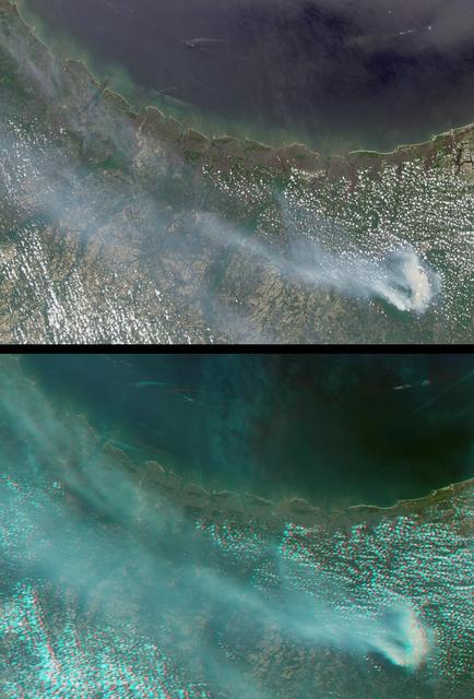 Large smoke plumes were produced by the Blackjack complex fire in southeastern Georgia Okefenokee Swamp as seen by the MISR instrument aboard NASA Terra spacecraft May 8, 2002. 3D glasses are necessary to view this image.