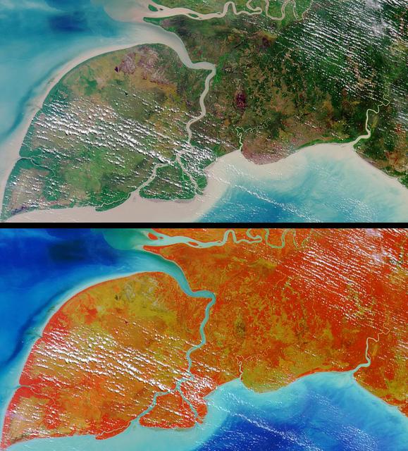 Pulau Kimaam, Pulau Dolok, Pulau Yos Sudarso, and Frederik Hendrik Island are all names used to refer to this island, which is part of the Indonesian province of West Papua. This image from NASA Terra satellite is MISR Mystery Image Quiz #10.