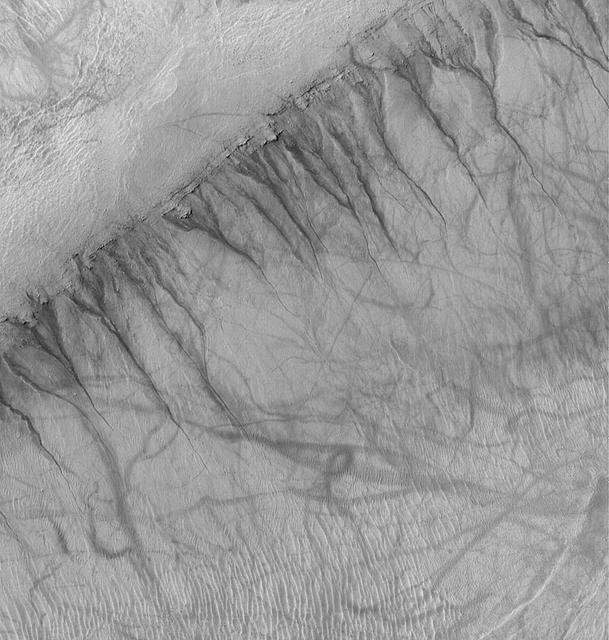 NASA image: Gullies and Streaks on Crater wall Kaiser