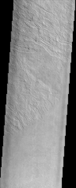 Olympus Mons, imaged here by NASA Mars Odyssey spacecraft, stands 26 km above the surrounding plains, which is three times taller than Mt. Everest, and is the tallest volcano in the solar system.