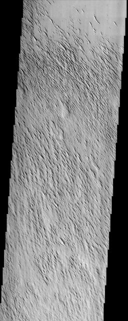 Remarkable variations in the erosion of the Medusae Fossae Formation are shown in this scene from NASA Mars Odyssey spacecraft. In this region, the surface has been eroded by the wind into a series of linear ridges called yardangs.