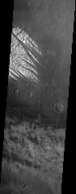 White Rock is the unofficial name for this unusual landform which was first observed during NASA Mariner 9 mission in the early 1970 and is now shown here in an image from NASA Mars Odyssey spacecraft.