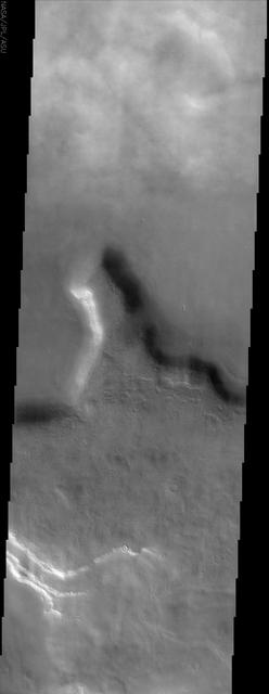 This image by NASA Mars Odyssey spacecraft shows a region of northern Tempe Terra. Patchy water-ice clouds cover portions of the low-lying canyon at the top north of this image.