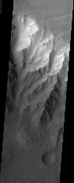 This image from NASA Mars Odyssey spacecraft shows the northern interior wall of Coprates Chasma, one of the major canyons that form Valles Marineris. 