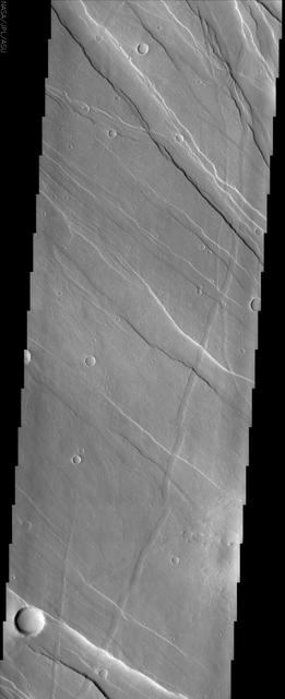 This image of Tharsis Rise from NASA Mars Odyssey shows a series of linear features called graben, which are associated with crustal extension resulting in up and down blocks of crust that run perpendicular to the direction of the extension.