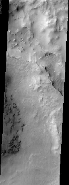 This image taken by NASA Mars Odyssey spacecraft shows a portion of Maunder Crater with a number of interesting features including a series of barchan dunes that are traveling from right to left and gullies.