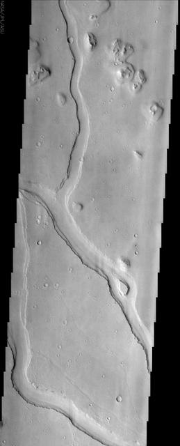 Hebrus Valles is located in the Elysium Planitia region of the northern lowlands of Mars. This image from NASA Mars Odyssey spacecraft shows three sinuous tributaries of the channel system which carved up the surrounding plains.