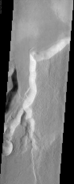 One of the many branches of the Mangala Vallis channel system is seen in this image from NASA Mars Odyssey spacecraft. The water that likely carved the channels emerged from a huge graben or fracture almost 1000 km to the south.