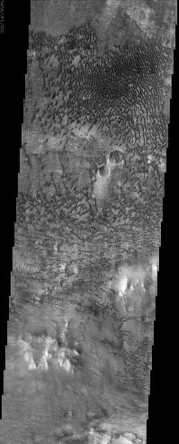 This NASA Mars Odyssey image shows a remarkable array of dunes on the floor of a large impact crater named Baldet. Many of the dunes in this region are isolated features with large, sand-free interdune surfaces between the individual dunes.