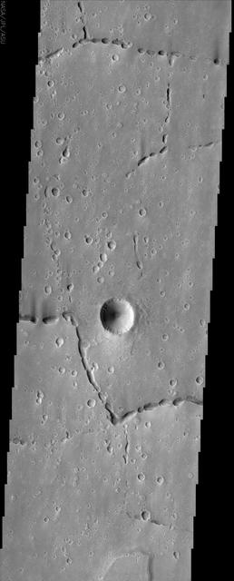 Off the western flank of Elysium are the Hephaestus Fossae, seen in this image from NASA Mars Odyssey, with linear arrangements of small, round pits. These features are commonly called pit chains and most likely represent the collapse of lava tubes.