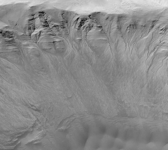 Gullies in a Crater Wall in Newton Basin: