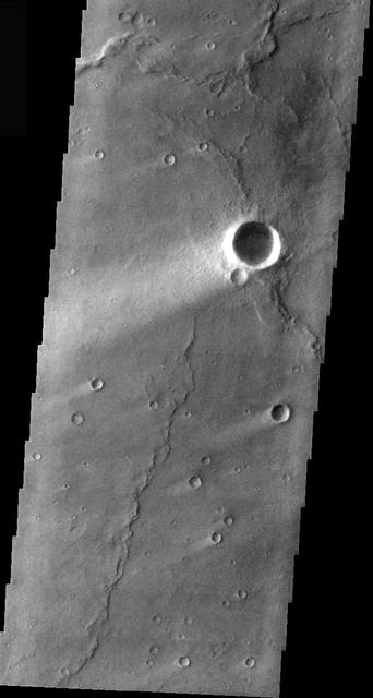 NASA image: Wind Streaks in Syrtis Major