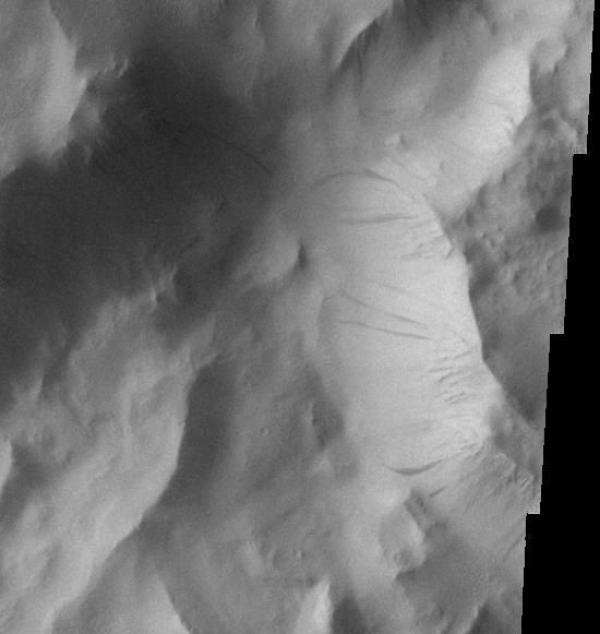 Lycus Sulci Dust Avalanches