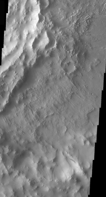 Crater Dust Avalanches