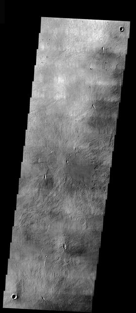 NASA image: Arsia Mons Caldera