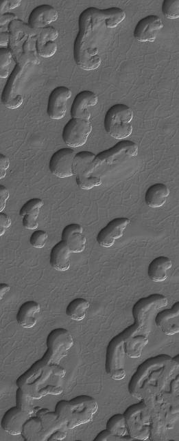 South Polar Polygons