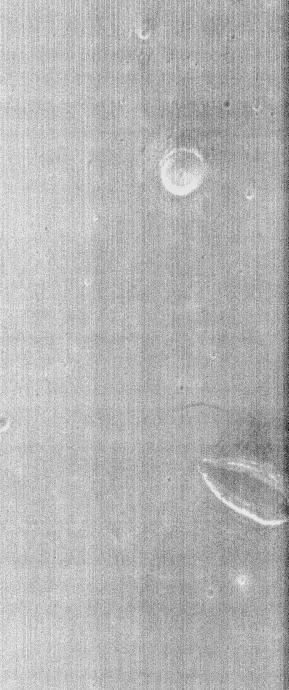 THEMIS Images as Art #56