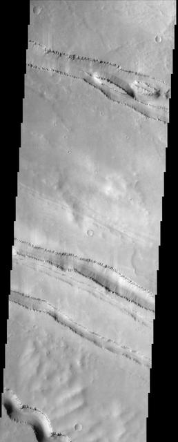 The grabens fractures that dominate this scene from NASA Mars Odyssey spacecraft are located northwest of a large shield volcano called Elysium Mons. Layered rock is evident along the lips of the graben as are ripples on the floors of these features. http://photojournal.jpl.nasa.gov/catalog/PIA04001