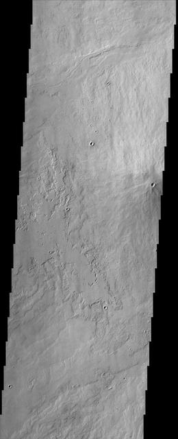 The small crater observed at the middle-right edge of this NASA Mars Odyssey image is very different from other similar looking impact craters located southeast of the Pavonis Mons volcano. This crater appears to be a volcanic crater at the summit of a small composite cone that shows evidence of repeated volcanic flows.  http://photojournal.jpl.nasa.gov/catalog/PIA04004