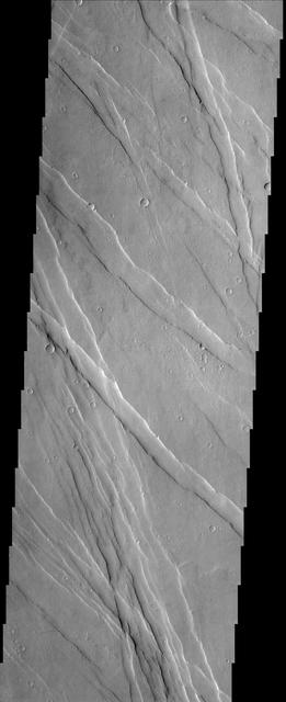 Extensional forces in the volcanic province of Tharsis, shown in this image from NASA Mars Odyssey spacecraft, have produced a fractured terrain that resembles wrinkled skin. http://photojournal.jpl.nasa.gov/catalog/PIA04005