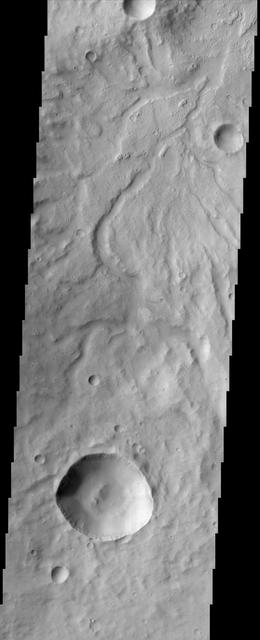 This image by NASA Mars Odyssey spacecraft shows the rugged cratered highland region of Libya Montes, which forms part of the rim of an ancient impact basin called Isidis. This region of the highlands is fairly dissected with valley networks. There is still debate within the scientific community as to how valley networks themselves form: surface runoff (rainfall/snowmelt) or headward erosion via groundwater sapping. The degree of dissection here in this region suggests surface runoff rather than groundwater sapping. Small dunes are also visible on the floors of some of these channels. http://photojournal.jpl.nasa.gov/catalog/PIA04008