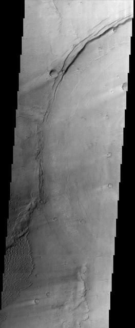 This image is located in Meroe Patera (longitude: 292W/68E, latitude: 7.01), which is a small region within Syrtis Major Planitia. Syrtis Major is a low-relief shield volcano whose lava flows make up a plateau more than 1000 km across. These flows are of Hesperian age (Martian activity of intermediate age) and are believed to have originated from a series of volcanic depressions, called calderas. The caldera complex lies on extensions of the ring faults associated with the Isidis impact basin toward the northeast - thus Syrtis Major volcanism may be associated with post-impact adjustments of the Martian crust. The most striking feature in this image is the light streaks across the image that lead to dunes in the lower left region. Wind streaks are albedo markings interpreted to be formed by aeolian action on surface materials. Most are elongate and allow an interpretation of effective wind directions. Many streaks are time variable and thus provide information on seasonal or long-term changes in surface wind directions and strengths. The wind streaks in this image are lighter than their surroundings and are the most common type of wind streak found on Mars. These streaks are formed downwind from crater rims (as in this example), mesas, knobs, and other positive topographic features. The dune field in this image is a mixture of barchan dunes and transverse dunes. Dunes are among the most distinctive aeolian feature on Mars, and are similar in form to barchan and transverse dunes on Earth. This similarity is the best evidence to indicate that martian dunes are composed of sand-sized material, although the source and composition of the sand remain controversial. Both the observations of dunes and wind streaks indicate that this location has a windy environment - and these winds are persistent enough to product dunes, as sand-sized material accumulates in this region. These features also indicate that the winds in this region are originating from the right side of the image, and moving towards the left. http://photojournal.jpl.nasa.gov/catalog/PIA04012