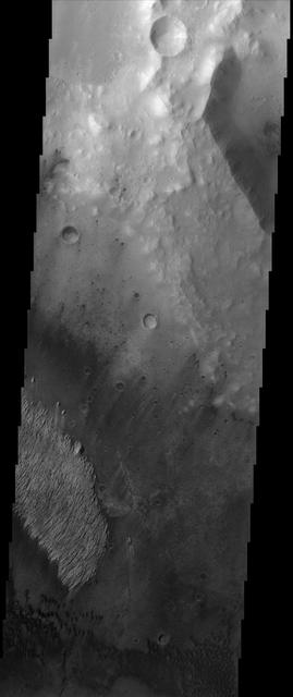 Like many of the craters in the Oxia Palus region of Mars, Trouvelot Crater, shown in this NASA Mars Odyssey image, hosts an eroded, light-toned, sedimentary deposit on its floor. Compared with the much larger example in Becquerel Crater to the NE, the Trouvelot deposit has been so eroded by the scouring action of dark, wind-blown sand that very little of it remains. Tiny outliers of bright material separated from the main mass attest to the once, more really extensive coverage by the deposit. A similar observation can be made for White Rock, the best known example of a bright, crater interior deposit. The origin of the sediments in these deposits remains enigmatic but they are likely the result of fallout from ash or dust carried by the thin martian atmosphere.  http://photojournal.jpl.nasa.gov/catalog/PIA04017