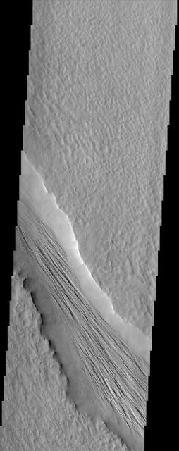 NASA image: Tharsis Grooved Channel