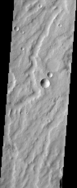 This scene from the dust covered plains of eastern Arabia Terra portrays a range of geological time. Three craters at the center of the image capture some of this range. Two have the classic bowl-shape of small, relatively recent craters while the one just to the north has seen much more history. Its rim has been scoured away by erosion and its floor has been filled in by material likely of a sedimentary nature. The channels that wind through the scene may be the oldest features present while the relatively dark streaks scattered about could have been produced in the past few years or even months as winds remove a layer of dust to reveal darker material below. http://photojournal.jpl.nasa.gov/catalog/PIA04033