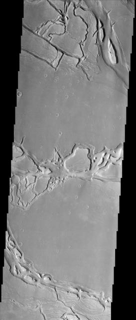 The force of moving water from a flood carved these teardrop-shaped islands within Granicus Valles. The orientation of the islands can be used as an indicator of the direction the water flowed. In this case, the water flowed primarily towards the upper left of the image. The image also contains many narrow sinuous channels. Geologists can determine that the floods occurred before a later tectonic event in the region. This event caused the crust to fracture into numerous blocks and fissures (grabens). Many fissures can be seen cutting across the former flood pathways.  http://photojournal.jpl.nasa.gov/catalog/PIA04037
