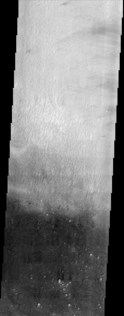 Arcadia Planitia occupies a region just north of Amazonis Planitia, one of the brightest and dustiest regions on Mars. Along the boundary between these two regions is a dark splotch roughly 600 km long that is relatively free of dust. This THEMIS image straddles the border of the dark splotch, producing the dramatic change in brightness from north to south. Note that many of the small craters in the dark portion of the image contain bright material on their floor. It may be that a mantle of dust has been stripped back revealing the dark surface of the splotch but the crater floors have retained the dust. Alternatively, the bright material may represent a more resistant unit that once covered the area and is difficult to erode from the crater floors. Either way, the presence of the bright material in so many craters produces a scene that is quite unusual for the surface of Mars.  http://photojournal.jpl.nasa.gov/catalog/PIA04038