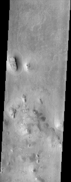 An isolated mesa east of the Phlegra Montes in northeastern Elysium Planitia has a cracked surface that, combined with its overall shape, gives the appearance of a giant loaf of bread in this image from NASA Mars Odyssey spacecraft.