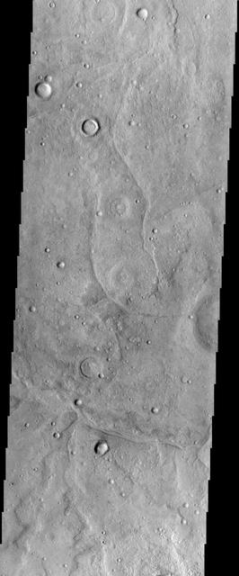 NASA image: Tempe Terra