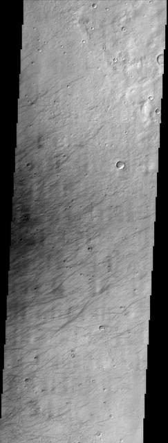 NASA image: Terra Sirenum