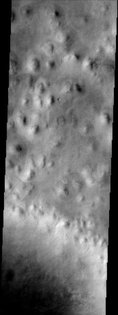 Hills abound in this portion of Mars imaged by NASA Mars Odyssey spacecraft and located in the Vastitas Borealis region of the high northern plains. These hills are part of Scandia Colles.