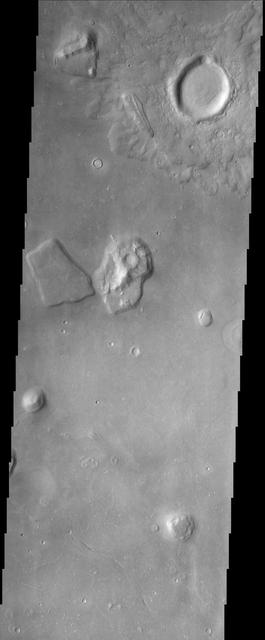 The Cydonia region on Mars, seen in this image from NASA Mars Odyssey spacecraft, straddles the boundary between the bright, dusty, cratered highlands to the southeast and the dark, relatively dust-free, lowland plains to the west.