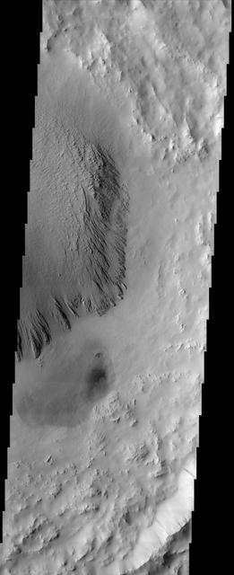 This image from NASA Mars Odyssey shows deposits in a crater located in Arabia Terra. Arabia is generally dust covered and dark streaks or dust avalanches are present in the crater walls.