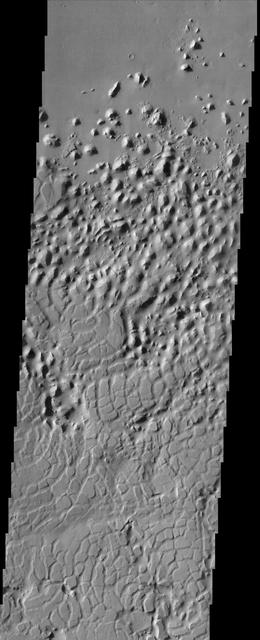 The style of erosion along the highlands-lowlands boundary of southern Elysium Planitia has produced a strange pattern of troughs that look like the skin of a reptile, as seen in this image from NASA Mars Odyssey spacecraft.