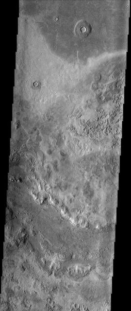 In this image from NASA Mars Odyssey spacecraft, bizarre textures cover the surface of eastern Utopia Planitia, where there is a high probability that ground ice has played a role in the formation of this unusual landscape.