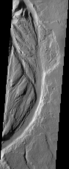 Streamlined channels near Lucus Planum can be seen in this image from NASA Mars Odyssey spacecraft. These features were formed by catastrophic floods in the Martian past.