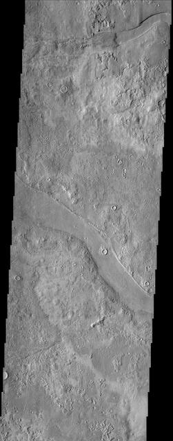 A variegated mottled texture located NW of the volcano Elysium Monsis is readily apparent in the terrain imaged here by NASA Mars Odyssey spacecraft. The Hrad Vallis channel system can be seen sauntering across the bumpy landscape of Utopia Planitia.