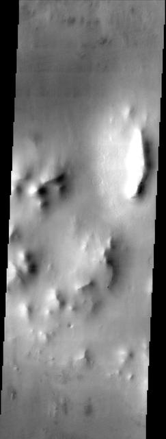 The muted terrain of northern Acidalia Planitia, as seen in this image from NASA Mars Odyssey spacecraft, testifies to the fact that the region is heavily mantled with dust.