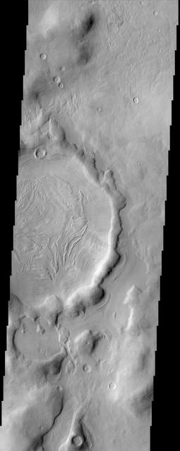 The bizarre patterns on the floor of this crater in Nilosyrtis Mensae imaged by NASA Mars Odyssey defy an easy explanation. It is possible that some form of periglacial process combined with the vaporization of ground ice to form these patterns.