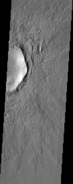 NASA image: Elysium Planitia