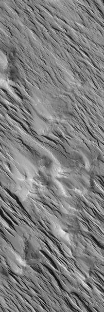 NASA image: Wind-Eroded Terrain