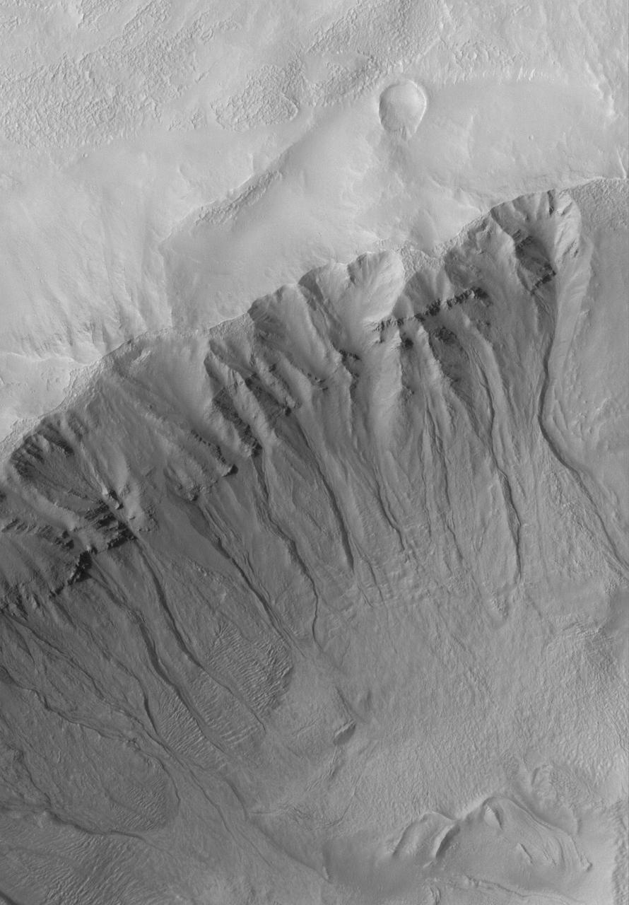 Martian Gullies
